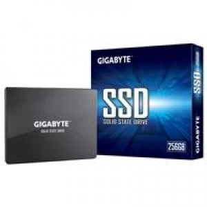 Image of Gigabyte 256GB SSD Drive