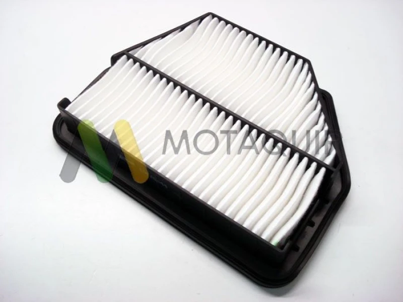 Image of MOTAQUIP Air filter MOTAQUIP LVFA1444