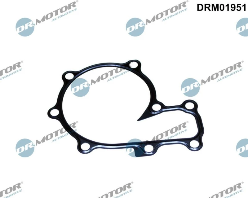 Image of DR.MOTOR AUTOMOTIVE Gasket, water pump DR.MOTOR AUTOMOTIVE DRM01951