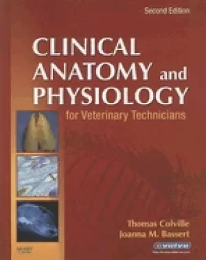 Image of clinical anatomy and physiology for veterinary technicians