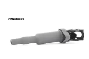 Image of RIDEX Ignition coil BMW 689C0029 12137559842,12137562745,12137571644 Coil pack,Ignition coil pack,Engine coil,Engine coil pack 12137582627,12137594935