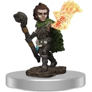 Image of Pathfinder Painted Premium Male Gnome Druid