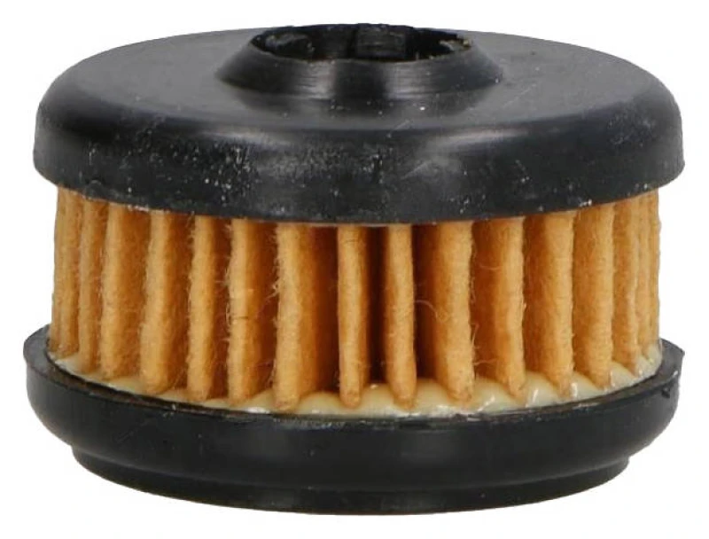 Image of ASHIKA 10-GAS20S Fuel Filter Filter Insert, Natural Gas Fuel filter (9)