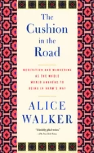 Image of cushion in the road the meditation and wandering as the whole world awakens