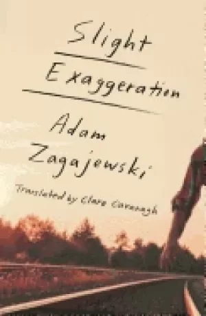 Image of slight exaggeration an essay