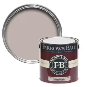 image of Farrow & Ball Modern Elephant's Breath No. 229 Eggshell Paint, 2.5L