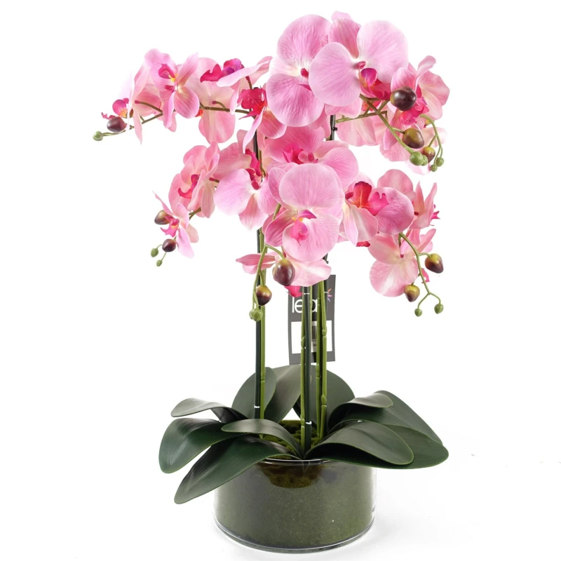 Image of Leaf Design 50cm Artificial Orchid with Glass Planter (Pink)
