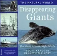 Image of diappearing giants the north atlantic right whale