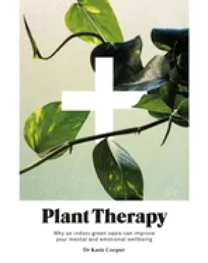 Image of plant therapy how an indoor green oasis can improve your mental and emotion