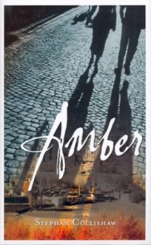 Image of Amber by Stephan Collishaw Hardback