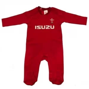 Image of Wales RU Sleepsuit 9/12 mths PS