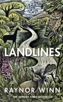 Image of Landlines : The remarkable story of a thousand-mile journey across Britain from the million-copy bestselling author of The Salt Path