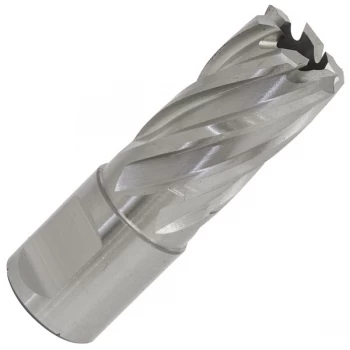 Image of Worksafe RBHSS18S Rotabor Cutter HSS Ø18mm - Cut Depth 25mm