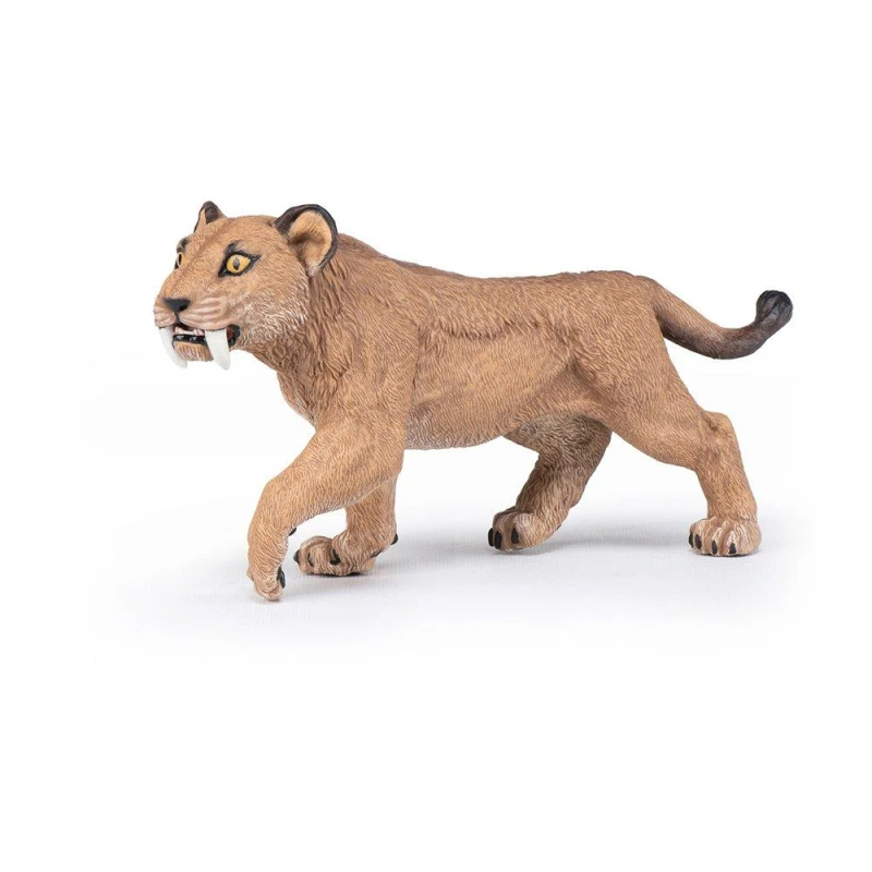 Image of Young Smilodon