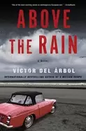 Image of above the rain