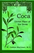 Image of coca divine plant of the incas