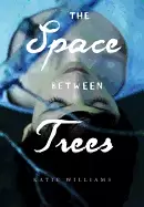 Image of space between trees