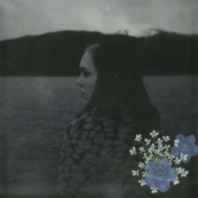 Image of Soccer Mommy Evergreen (Vinyl) 12 Album Coloured Vinyl