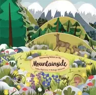 Image of discovering nature on the mountainside