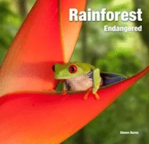Image of rainforest endangered