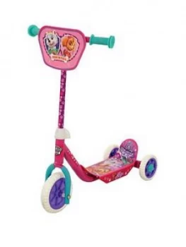 Image of Paw Patrol Skye And Everest My First Tri Scooter