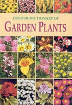 Image of The Illustrated Book of Trees and Shrubs by Vclav Vetvicka and Vlasta Matousov Hardback