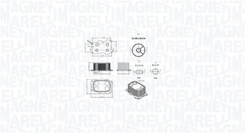 Image of MAGNETI MARELLI Engine oil cooler MAGNETI MARELLI 350300000900