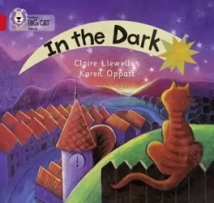 Image of In the Dark by Claire Llewellyn