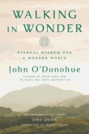Image of walking in wonder eternal wisdom for a modern world