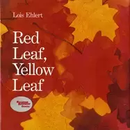 Image of red leaf yellow leaf
