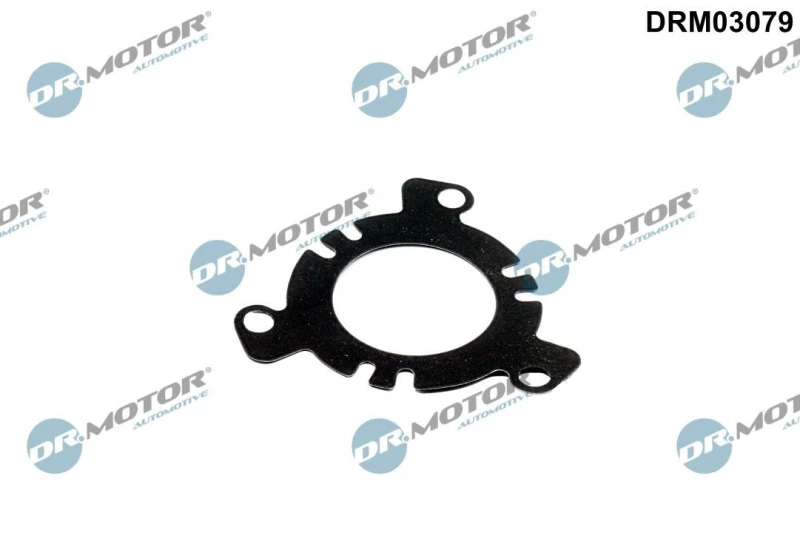 Image of DR.MOTOR AUTOMOTIVE Gasket / Seal DR.MOTOR AUTOMOTIVE DRM03079