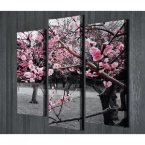 Image of UC97 Multicolor Decorative Canvas Painting (3 Pieces)