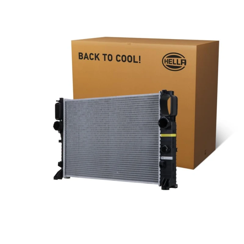 Image of HELLA Engine radiator HELLA 8MK 366 300-621