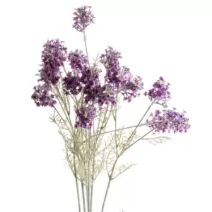 Image of Purple Meadow Flower