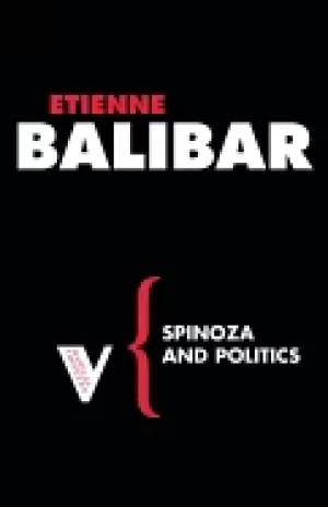 Image of spinoza and politics