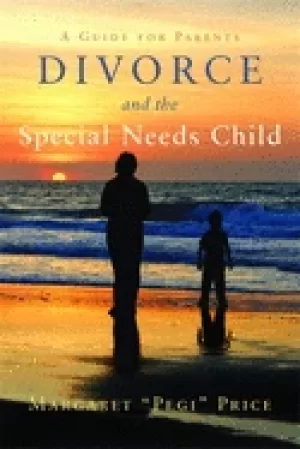 Image of divorce and the special needs child a guide for parents