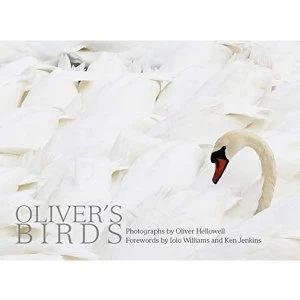 Image of Oliver's Birds By Oliver Hellowell Hardback 2019