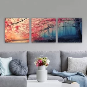 Image of Pdrmnz3840 Multicolor Decorative Canvas Painting (3 Pieces)