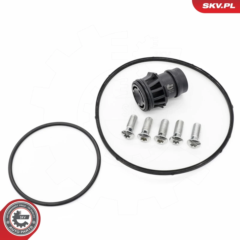 Image of ESEN SKV Repair Kit, vacuum pump (brake system) ESEN SKV 18SKV810
