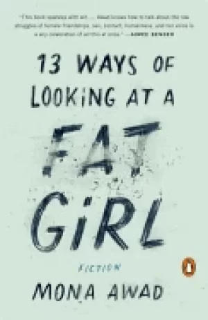 Image of 13 ways of looking at a fat girl fiction
