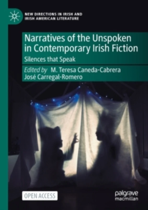 Image of Narratives of the Unspoken in Contemporary Irish Fiction : Silences that Speak Paperback / softback