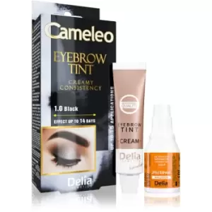 image of Delia Cosmetics Cameleo Professional Cream Eyebrow Colourant Ammonia - Free Shade 1.0 Black 15 ml