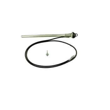 Image of Aerial - Small Head Wing Mount - AM/FM - Chrome - AN7900A - Celsus
