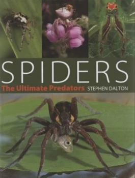 Image of Spiders by Stephen Dalton Hardback
