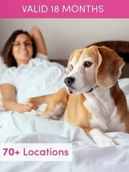 Image of Activity Superstore Dog Friendly Hotel Stay