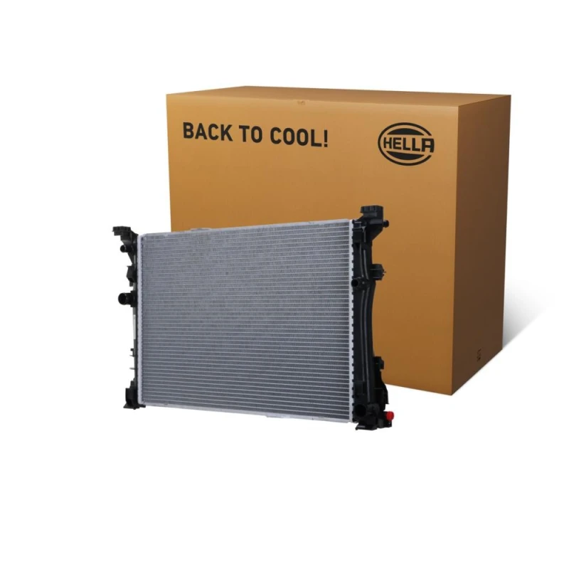 Image of HELLA Engine radiator HELLA 8MK 366 301-011
