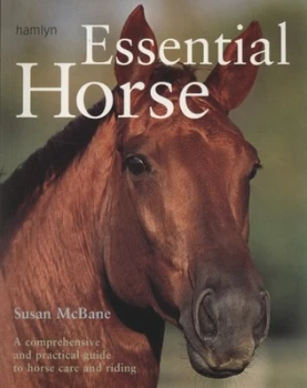 Image of Essential Horse by Susan Mcbane Paperback