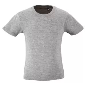 Image of SOLS Childrens Kids Milo Organic T-Shirt (10 Years) (Grey Marl)