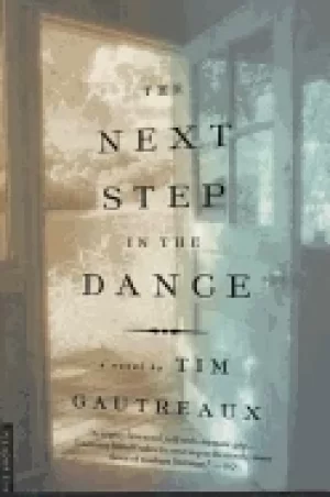 Image of next step in the dance a novel