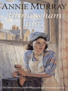 Image of Birmingham Blitz by Annie Murray Paperback